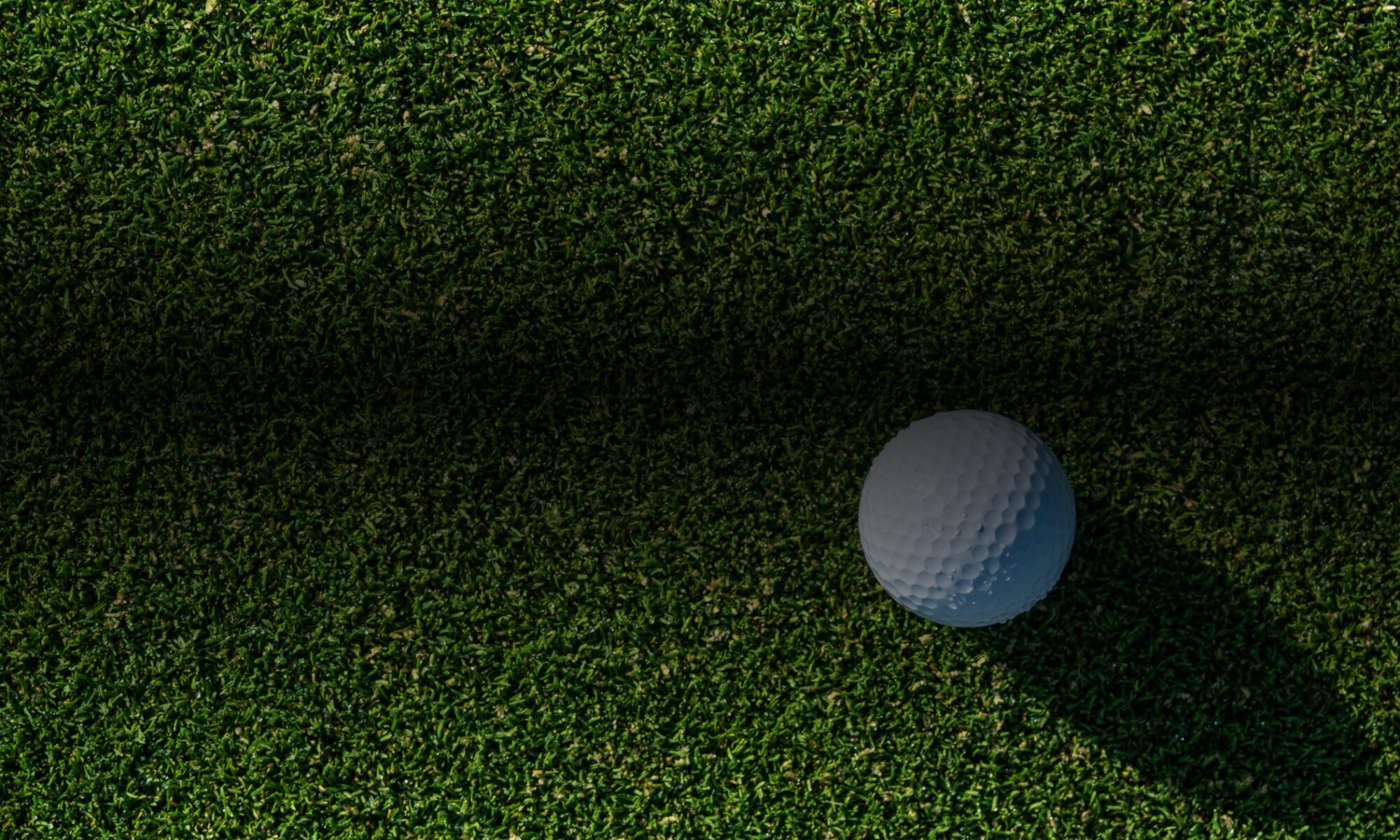 mini golf design for all ages