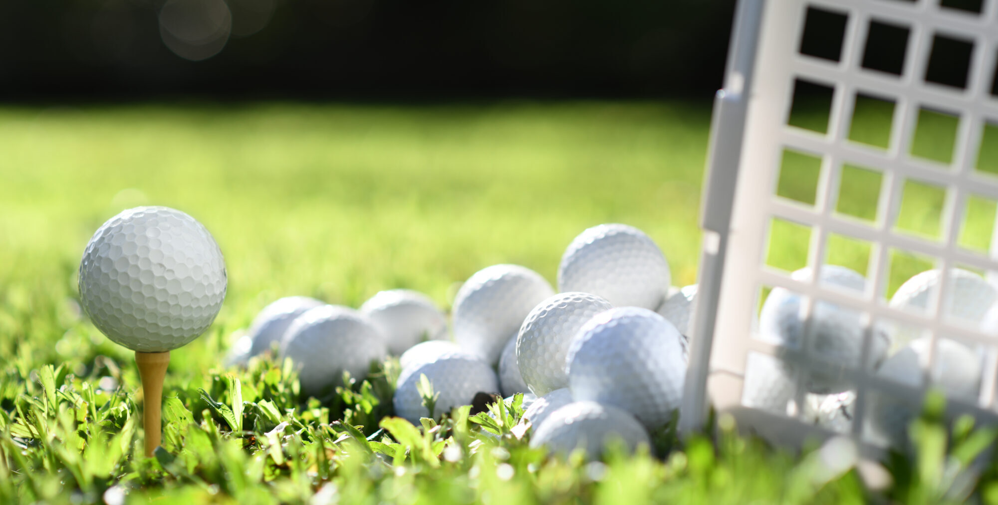mini golf driving range Australia